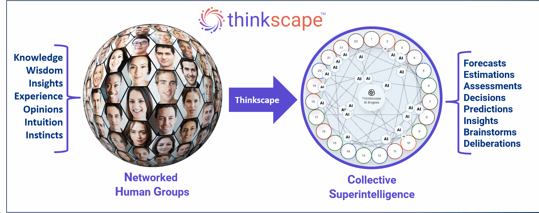 Diagram illustrating the Thinkscape workflow